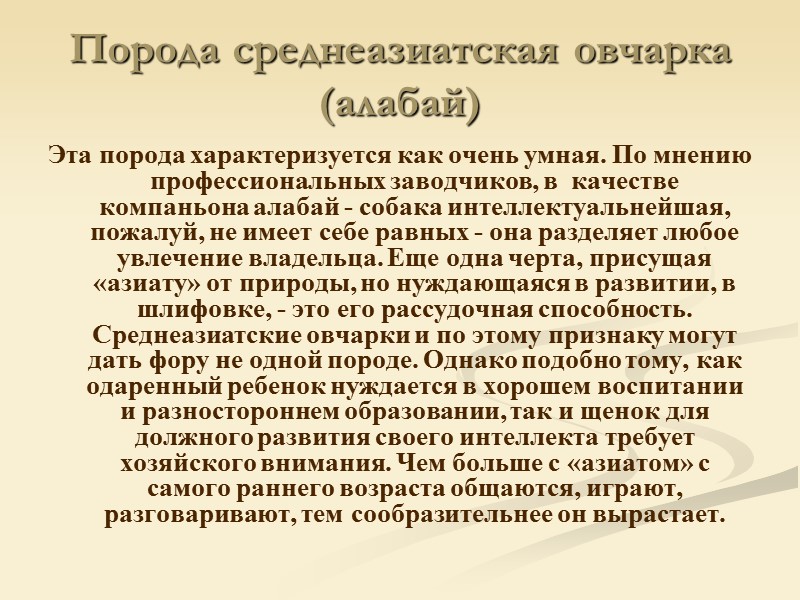 Порода среднеазиатская овчарка (алабай) Эта порода характеризуется как очень умная. По мнению профессиональных заводчиков, Порода среднеазиатская овчарка (алабай) Эта порода характеризуется как очень умная. По мнению профессиональных заводчиков,